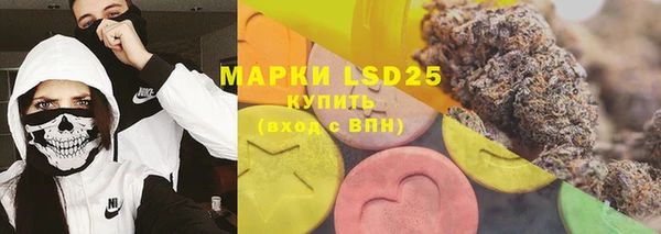 ГАЛЛЮЦИНОГЕННЫЕ ГРИБЫ Киренск