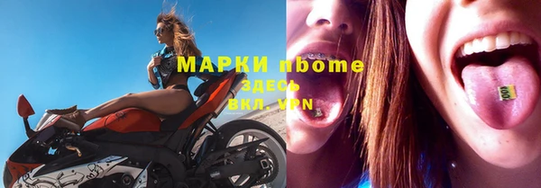 гашик Козловка