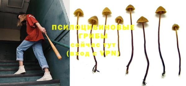 ГАЛЛЮЦИНОГЕННЫЕ ГРИБЫ Киренск