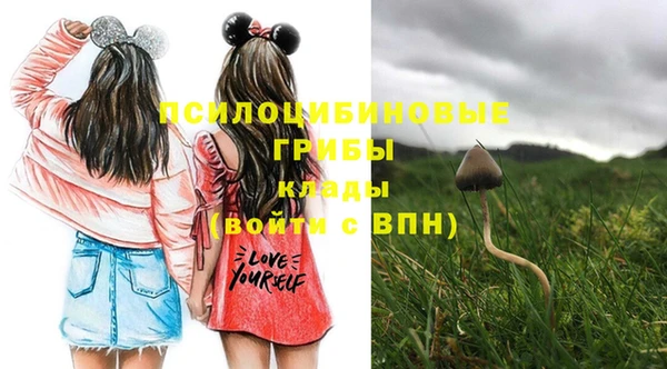 прущая мука Кинешма