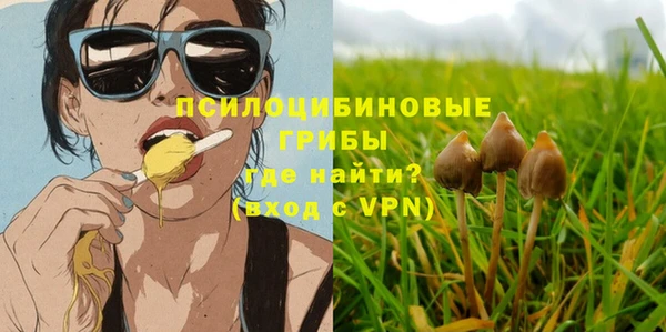 ГАЛЛЮЦИНОГЕННЫЕ ГРИБЫ Киренск