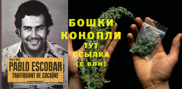 гашик Козловка