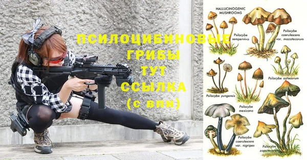 прущая мука Кинешма
