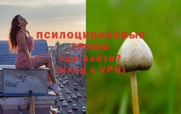 гидропоника Киреевск