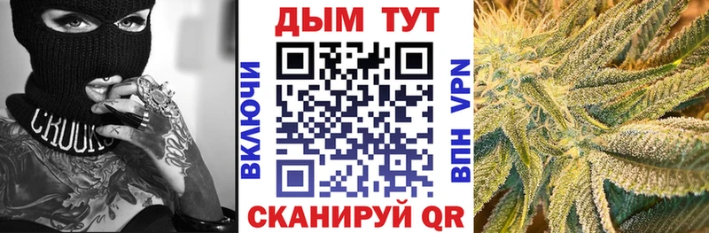 Каннабис сатива  Купить закладки  Нюрба 